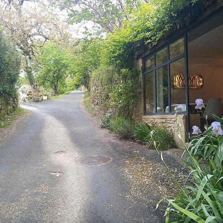 Chambre Du Sabotier - Studio Troglodytique - A 100 M Baignade En Riviere - Location De Canoe - Circuits Cyclo - Aire De Pique-Nique - 3 Restaurants Castelnaud La Chapelle Eksteriør billede
